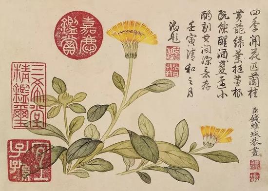 钱维城(1720-1772) 花卉图 乾隆御题 设色纸本 册页八开